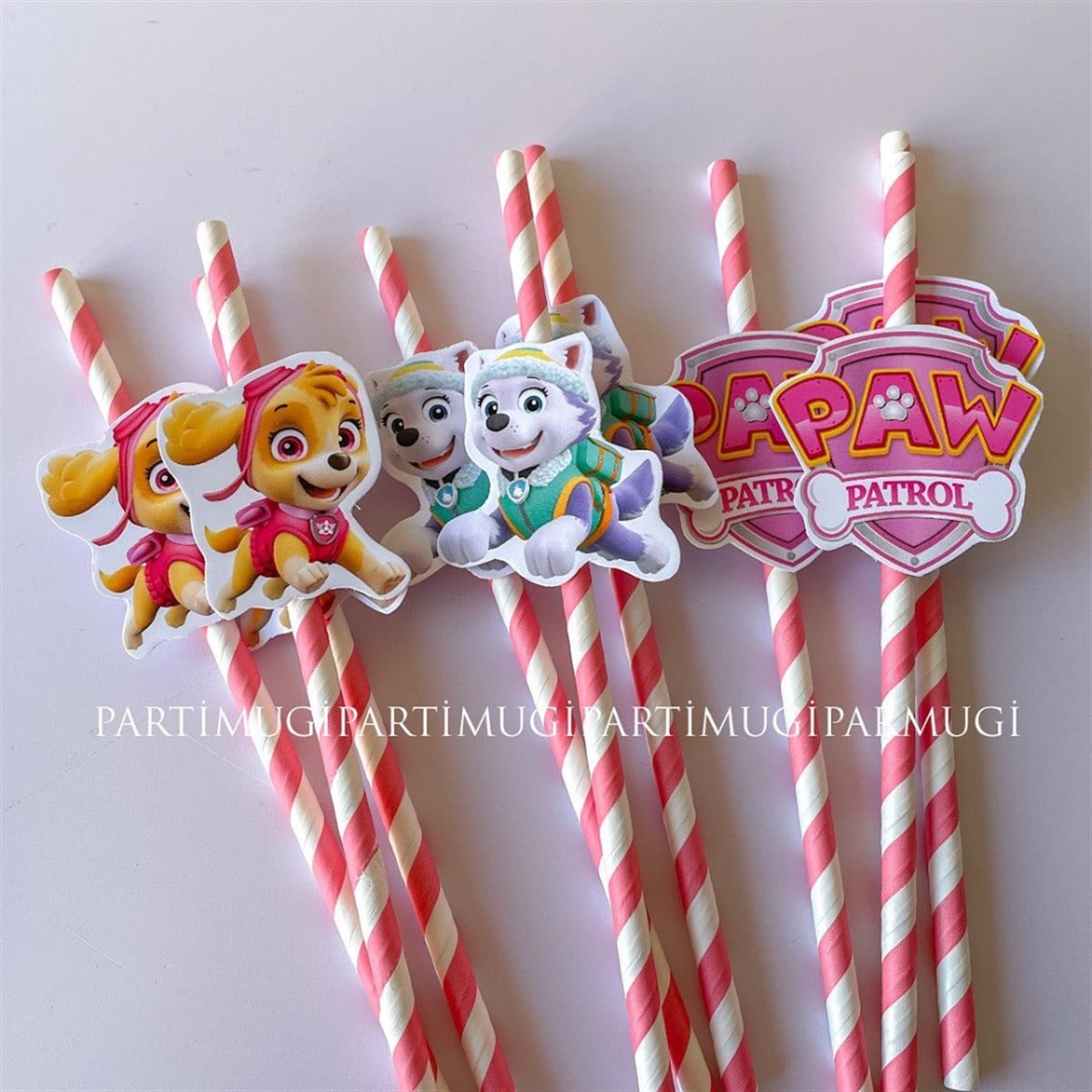 Pembe Paw Patrol Temalı Pipet