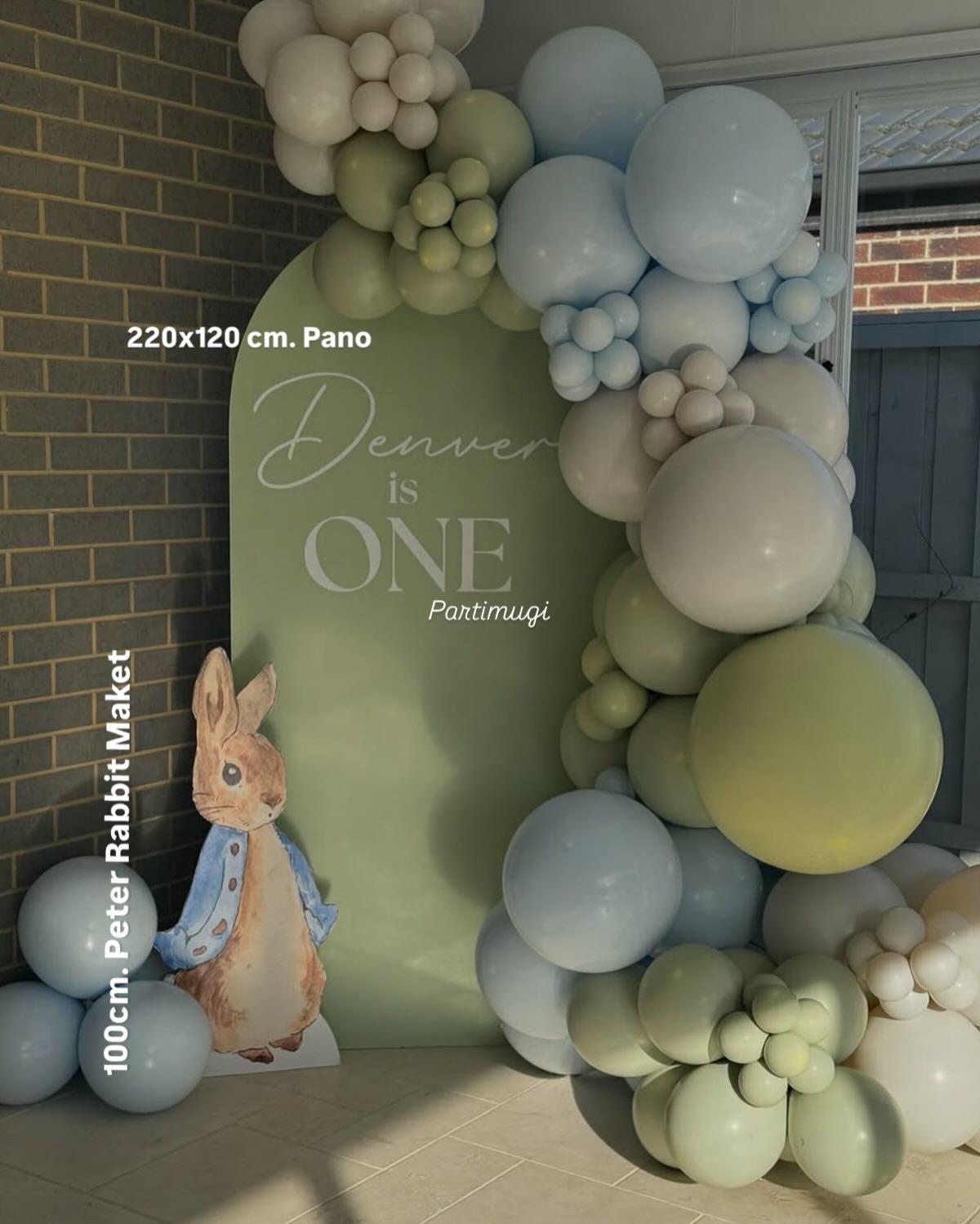 Peter Rabbit Doğum Günü Pano Seti