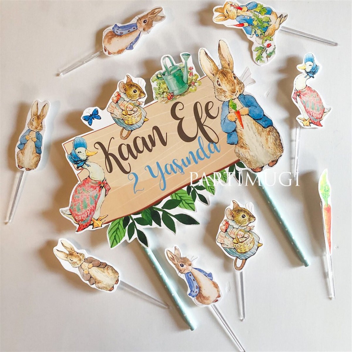 Peter Rabbit  Temalı Pasta Süsü