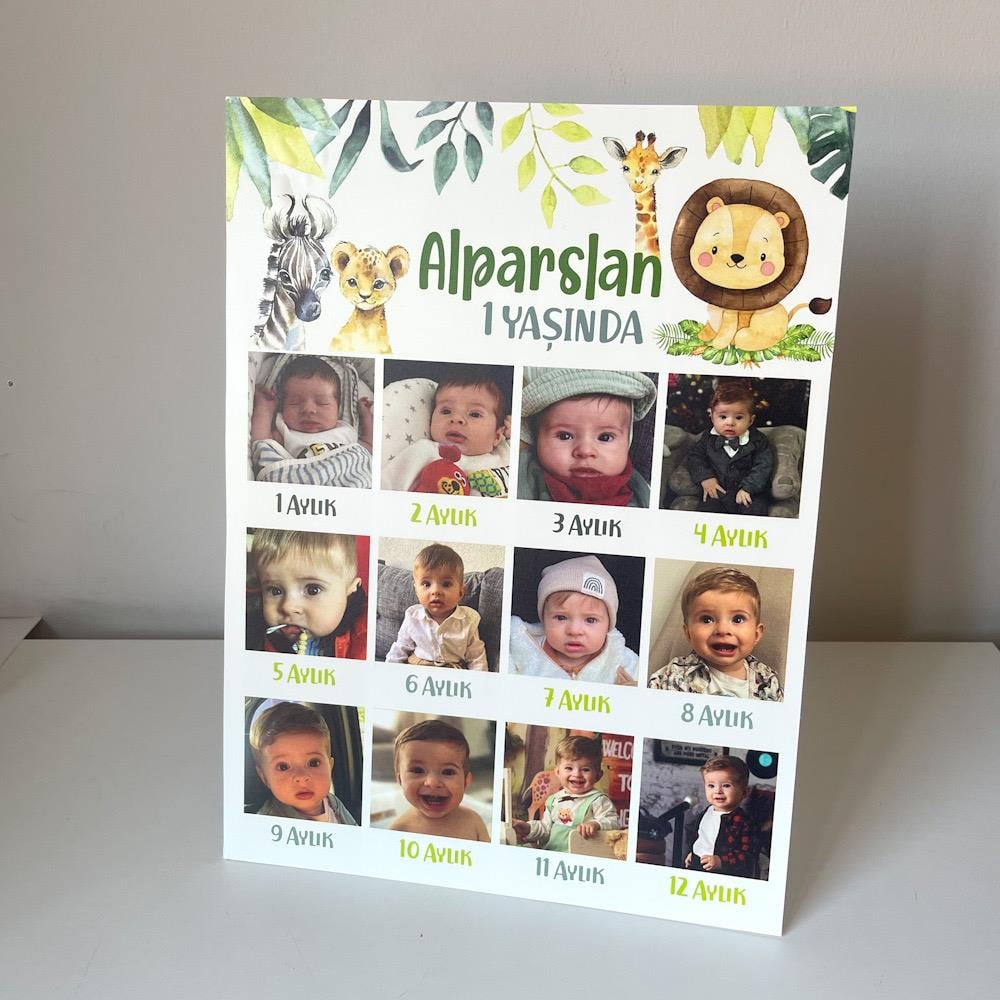 Safari Temalı 12 Ay Anı Gelişim Panosu