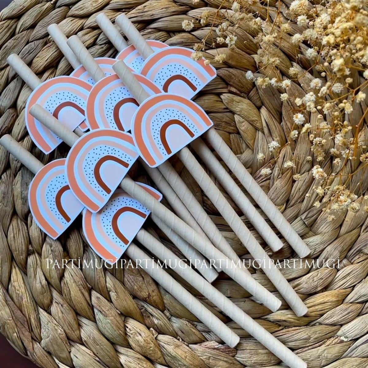 Turuncu Kraft Düz Kesim Gökkuşağı Temalı Pipet