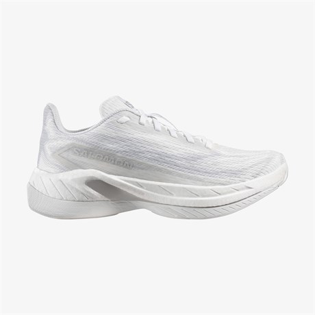 L49141500-SPECTUR 3