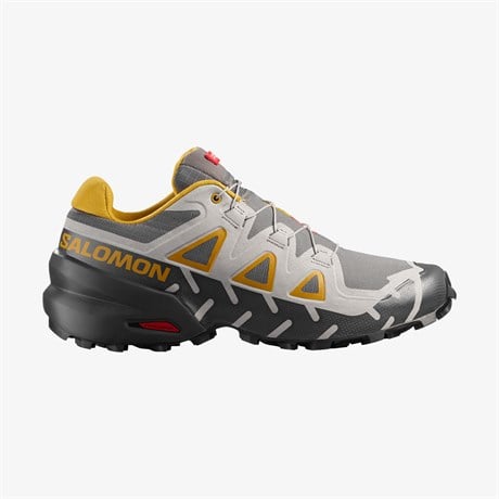 L49158800-SPEEDCROSS 6 20 YEARS Q2