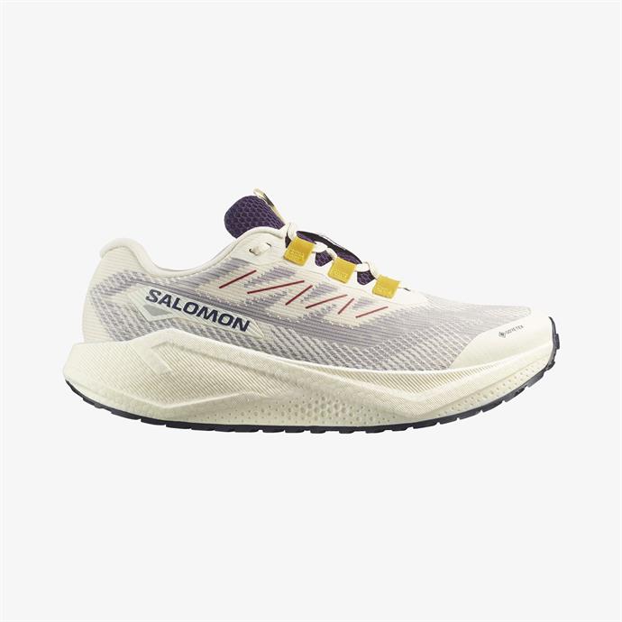 Salomon AERO BLAZE 3 GRVL Erkek Koşu Ayakkabısı Vanilla Ice L47953200
