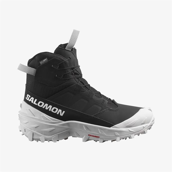 crosstrak-powder-waterproof-