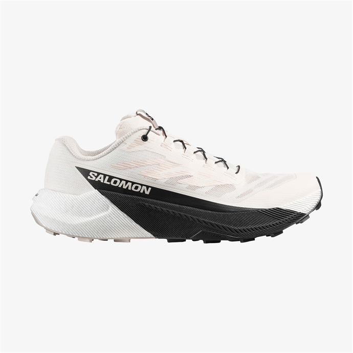 Salomon PULSAR Erkek Koşu Ayakkabısı Vanilla Ice L47999900