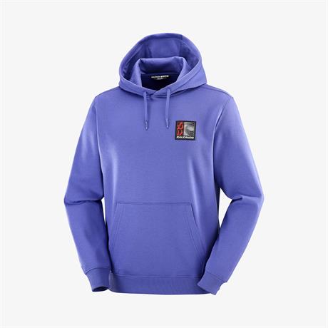 Salomon FREESTYLE HOODIE Erkek Sweatshirt Liberty LC2678900