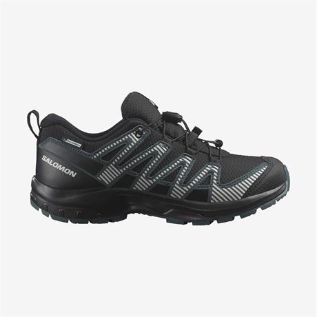 xa-pro-v8-cswp-j-l47568000-