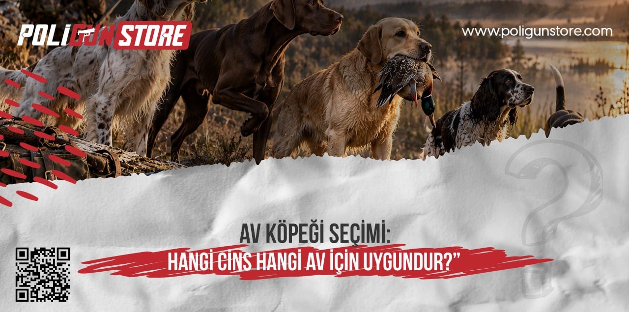 Av Köpeği Seçimi: Hangi Cins Hangi Av İçin Uygundur?