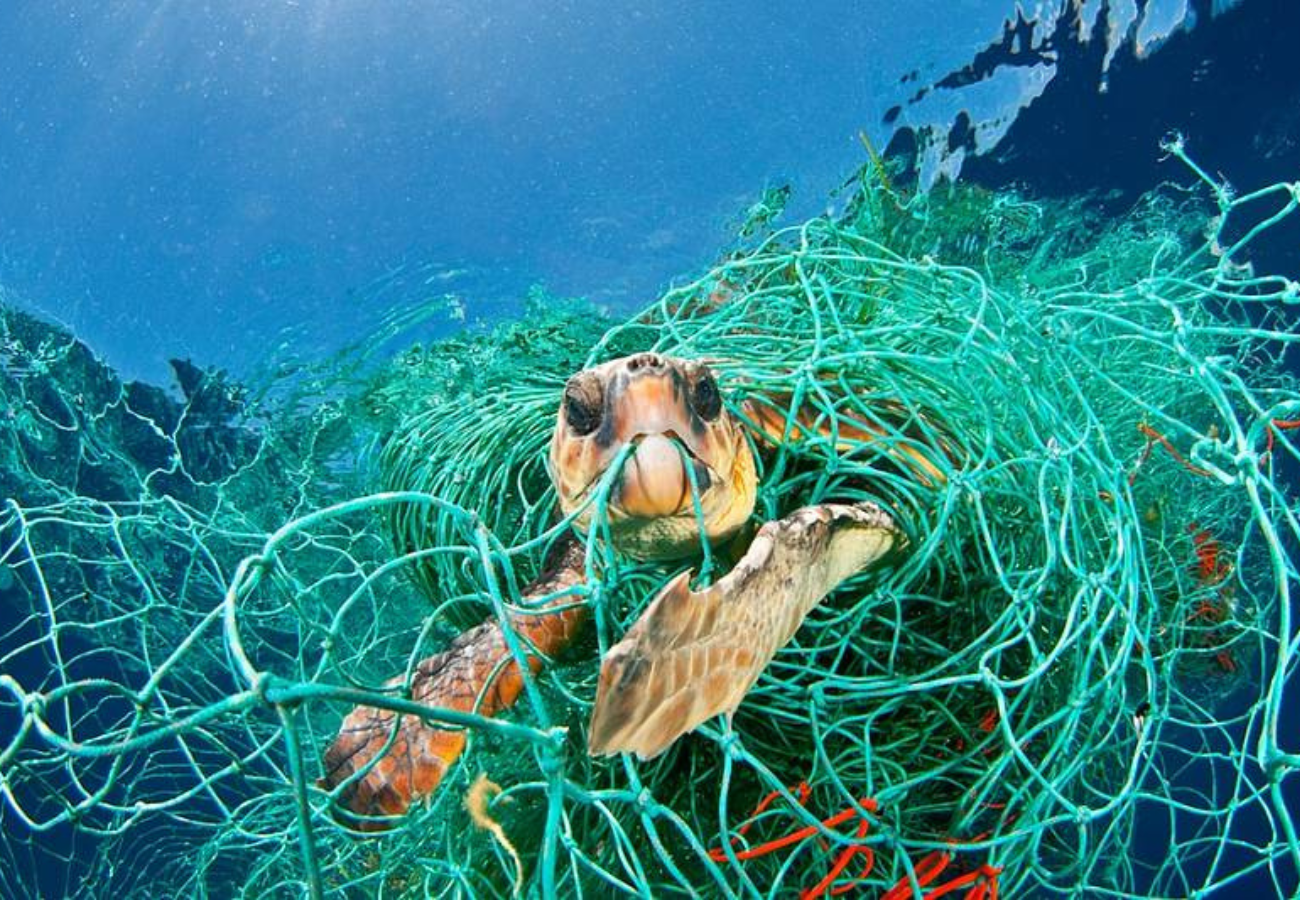 Plastik Kullanımını Neden Azaltmalıyız?