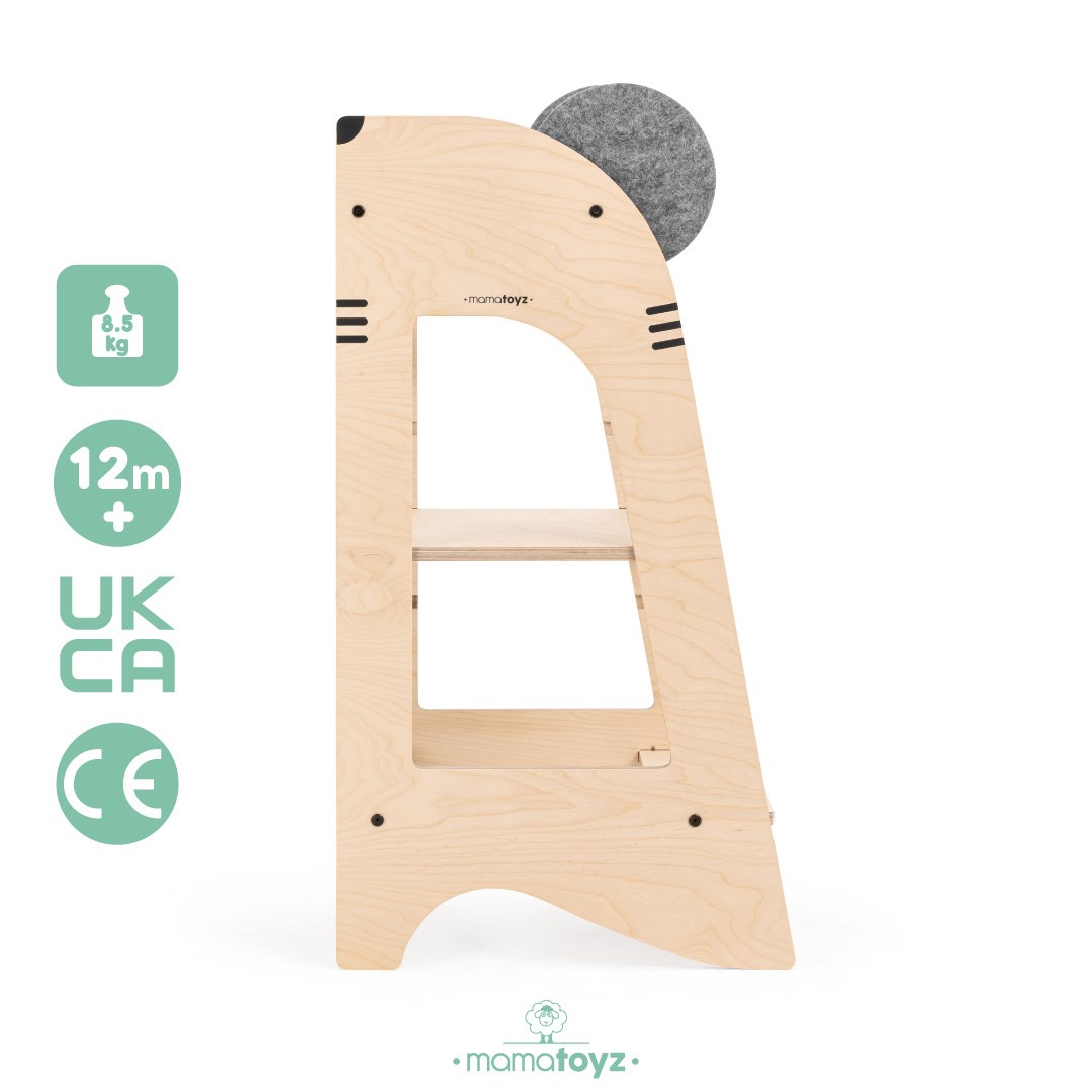 Öğrenme Kulesi Fare