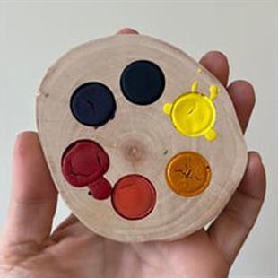 Canlı Renkler Ağaç Dilim Suluboya Paleti