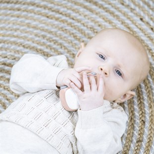 Dantoy Tiny Biyoplastik Oyuncak Eğlenceli Arabalar