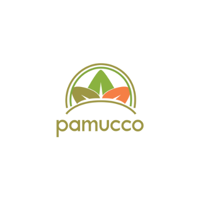 Pamucco