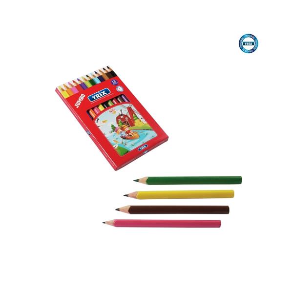 Trix 12'li Jumbo Kuru Boya T-14