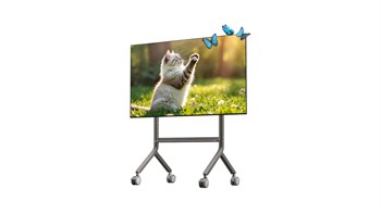 Nb Ergonomic P100 65-90 91 kg Vesa Uyumlu Profesyonel Tv Standı