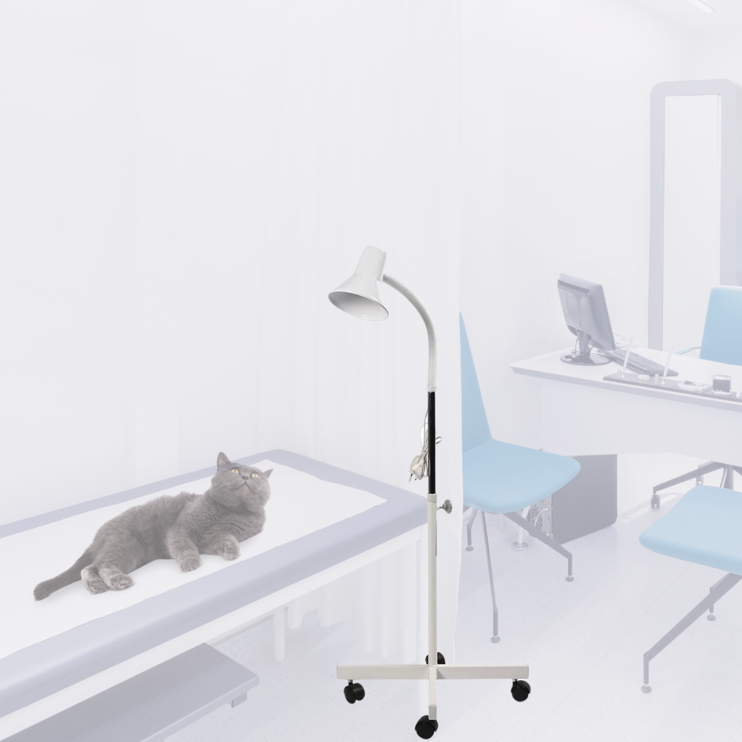 Muayene Lambası (Spiralli Lamba)