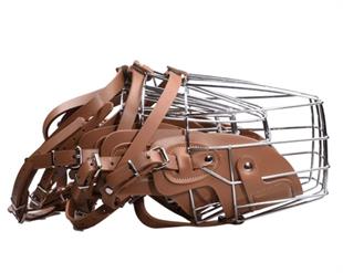 Köpek Metal Ağızlık 4 Lü Takım