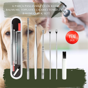 6 Parça Paslanmaz Çelik Kulak Balmumu Toplayıcı Çıkarıcı Temizleyici Bakımı Çubuk Seti