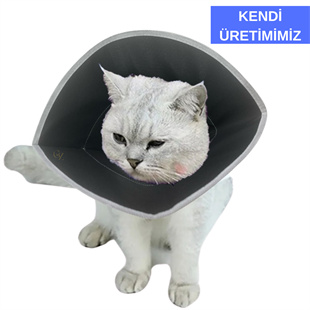 Gz Ekonomik  Kedi yakalığı