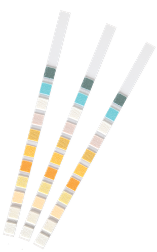 İdrar Stribi 100lü Paket