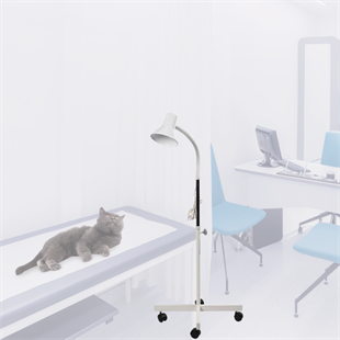 Muayene Lambası (Spiralli Lamba)