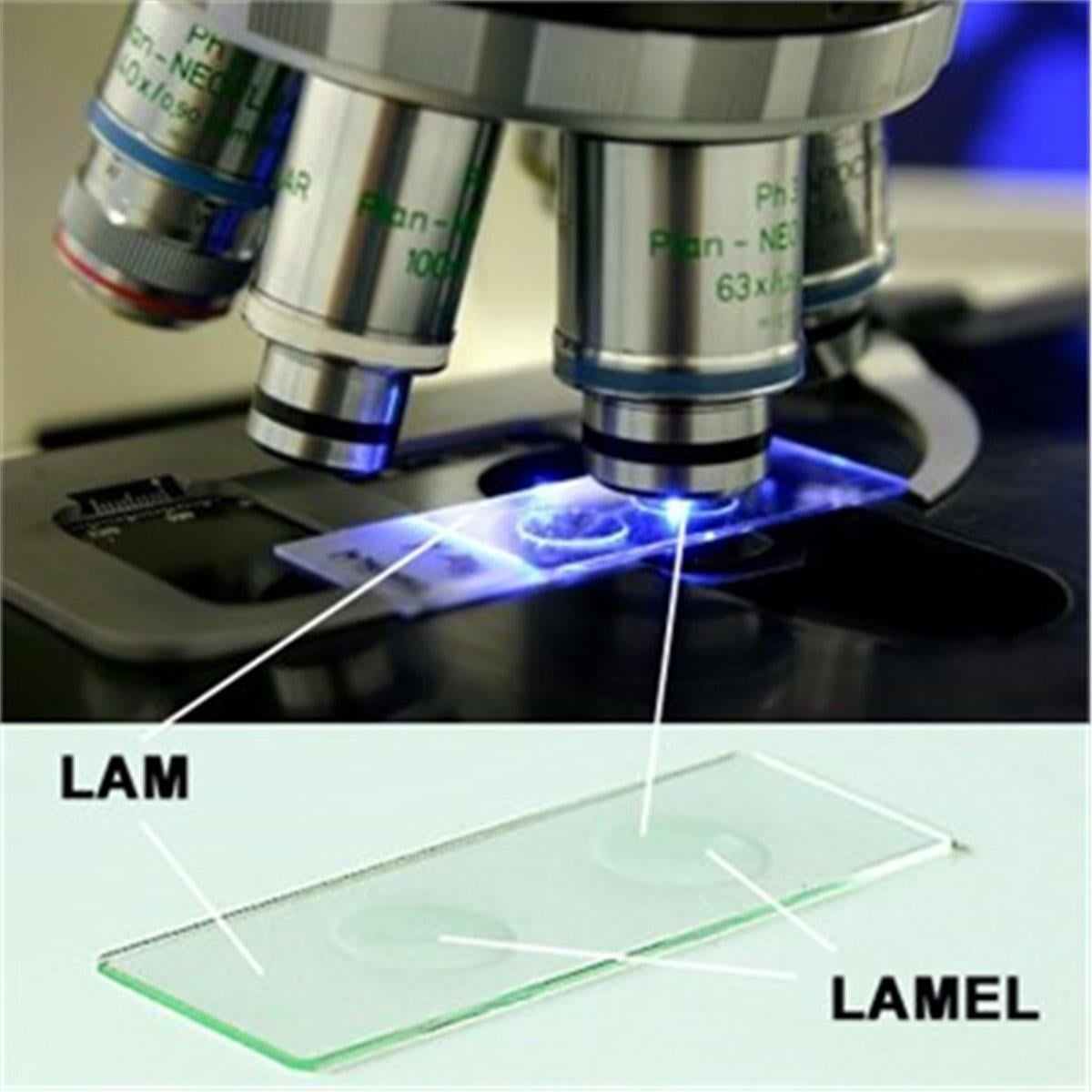 Lamel 20*20 Düz 100'lü Paket