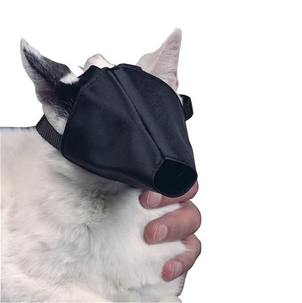 Buster Kedi Ağızlığı