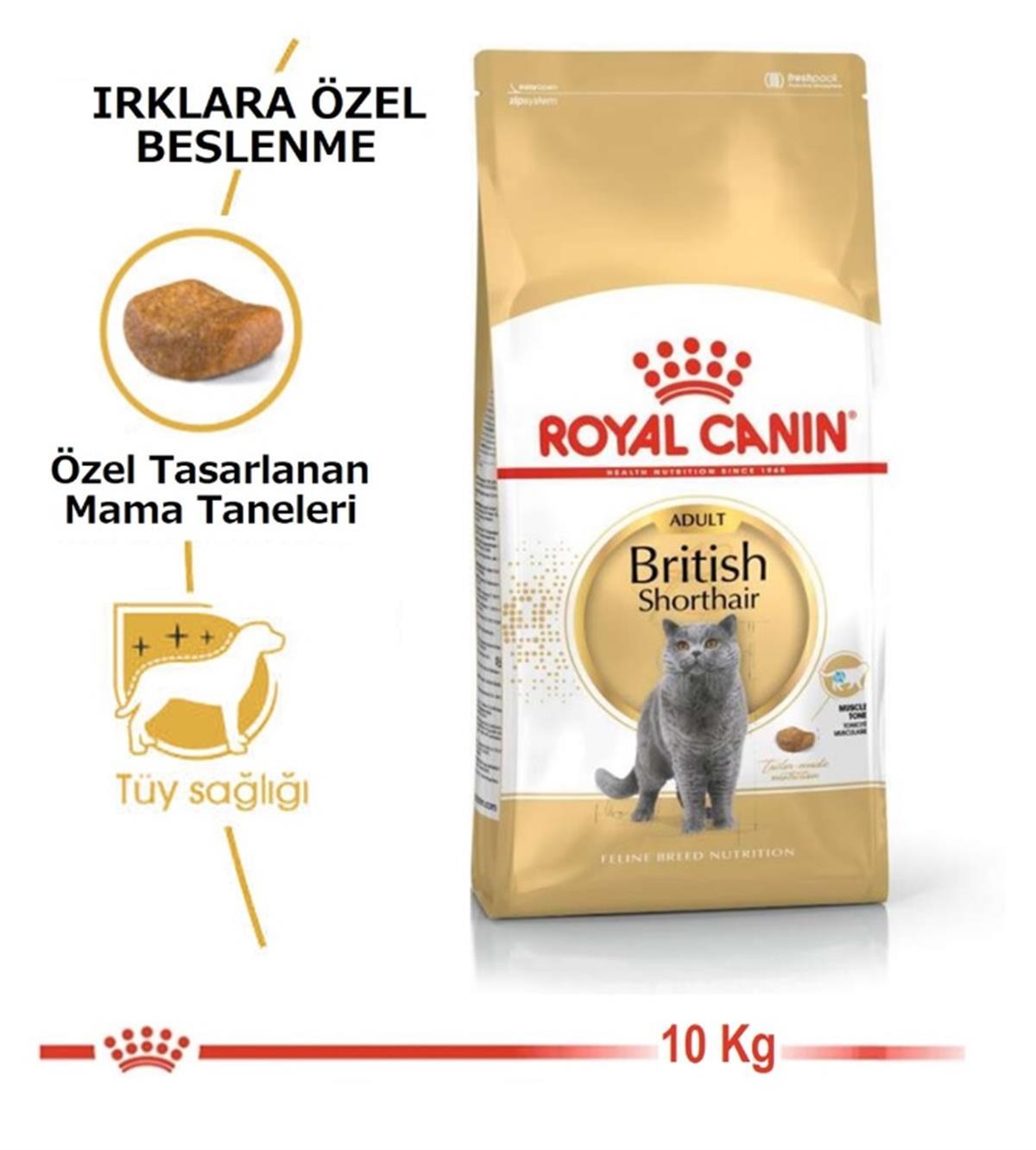 Royal Canin 4 Kg British Shorthair Yetişkin Kedi Maması
