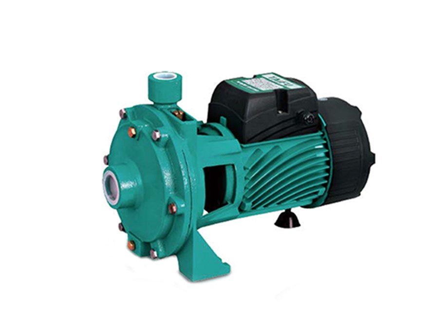 Çift Kademeli Santrifüj Pompa - TAIFU2TCP25/140M (1.5 HP)