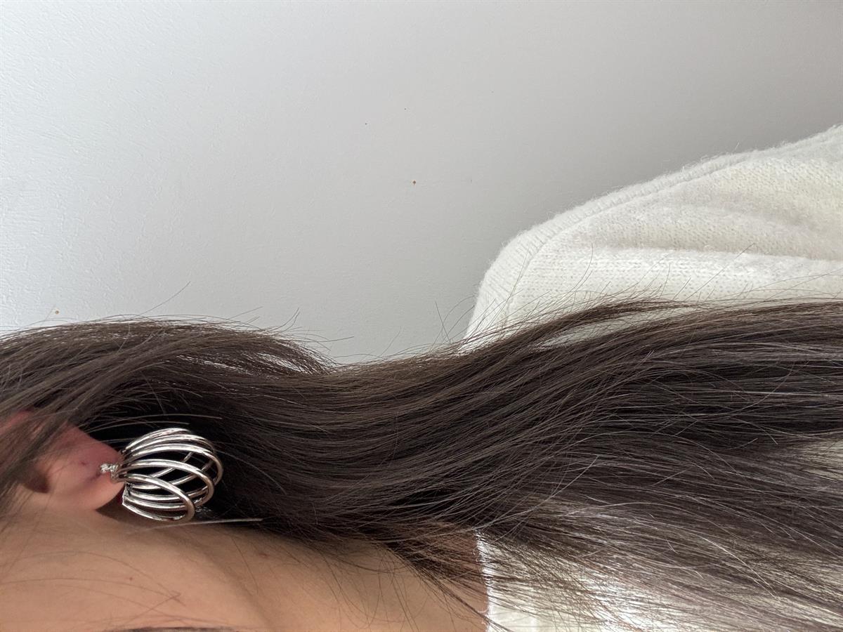 Beş SIra Oval Gümüş Küpe