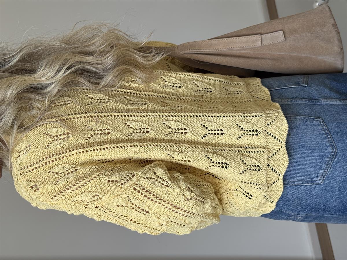 Bisiklet Yaka Ajurlu Triko - Sarı