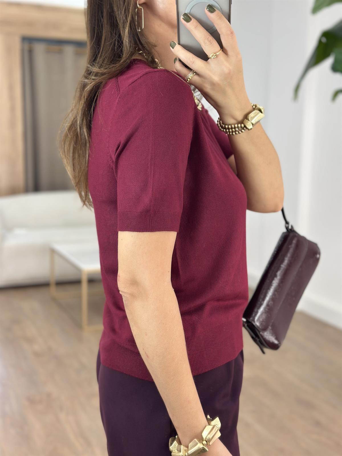 Dilvin Bisiklet Yaka Kısa Kol Basic Triko Bluz - Bordo