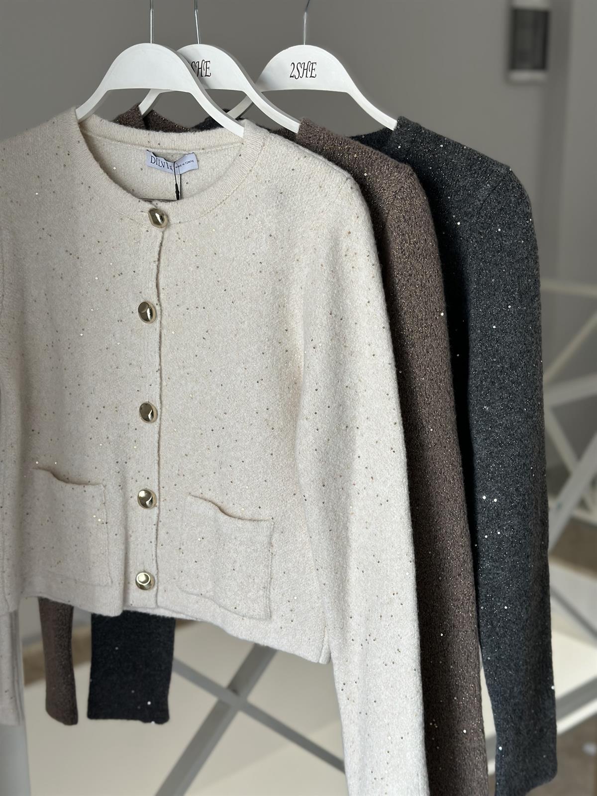 Dilvin Bisiklet Yaka Pullu Simli Düğmeli Triko Hırka - Kahverengi