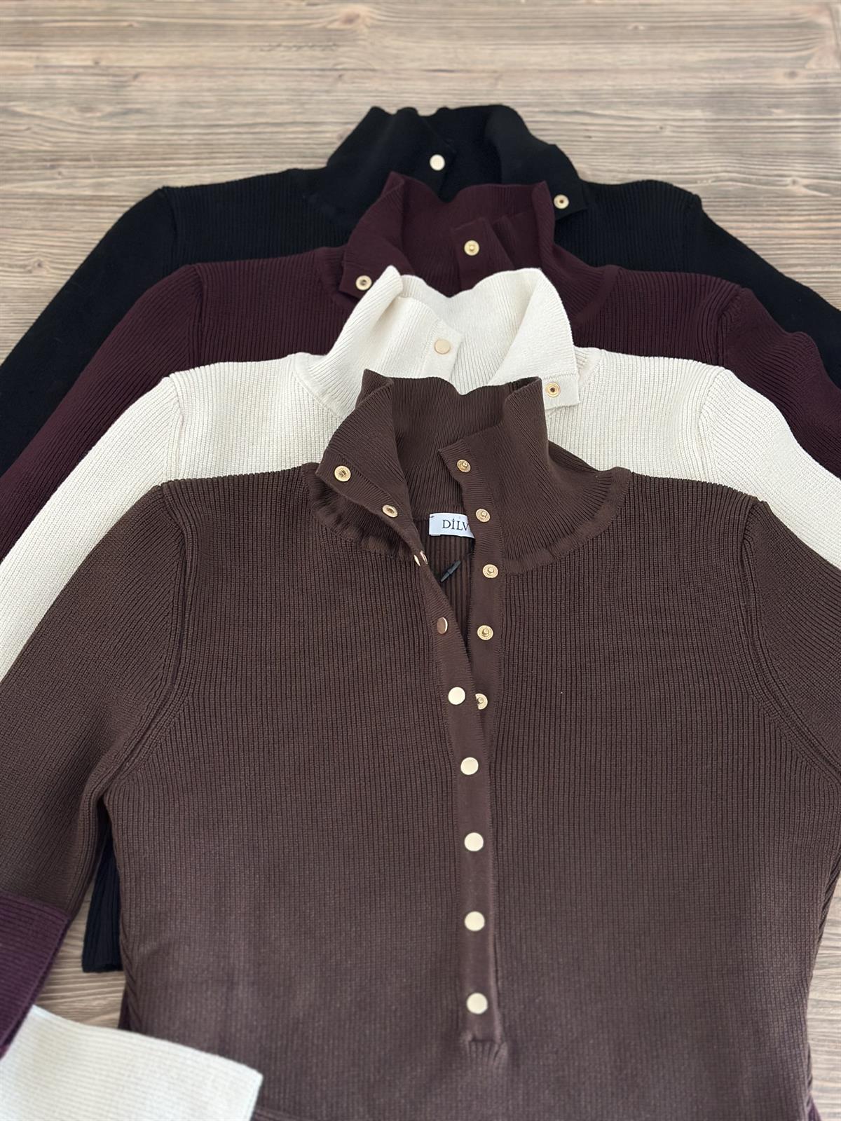 Dilvin Dik Yaka Çıtçıtlı Triko Kazak - Siyah