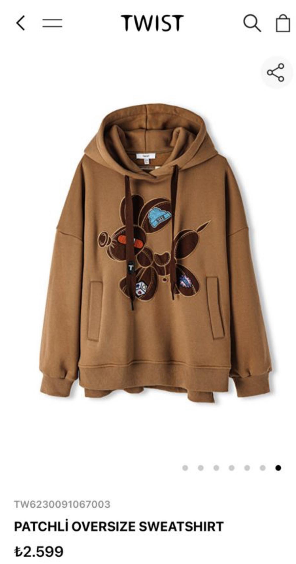 Marka Model Nakış Detaylı Sweatshirt-Kahverengi