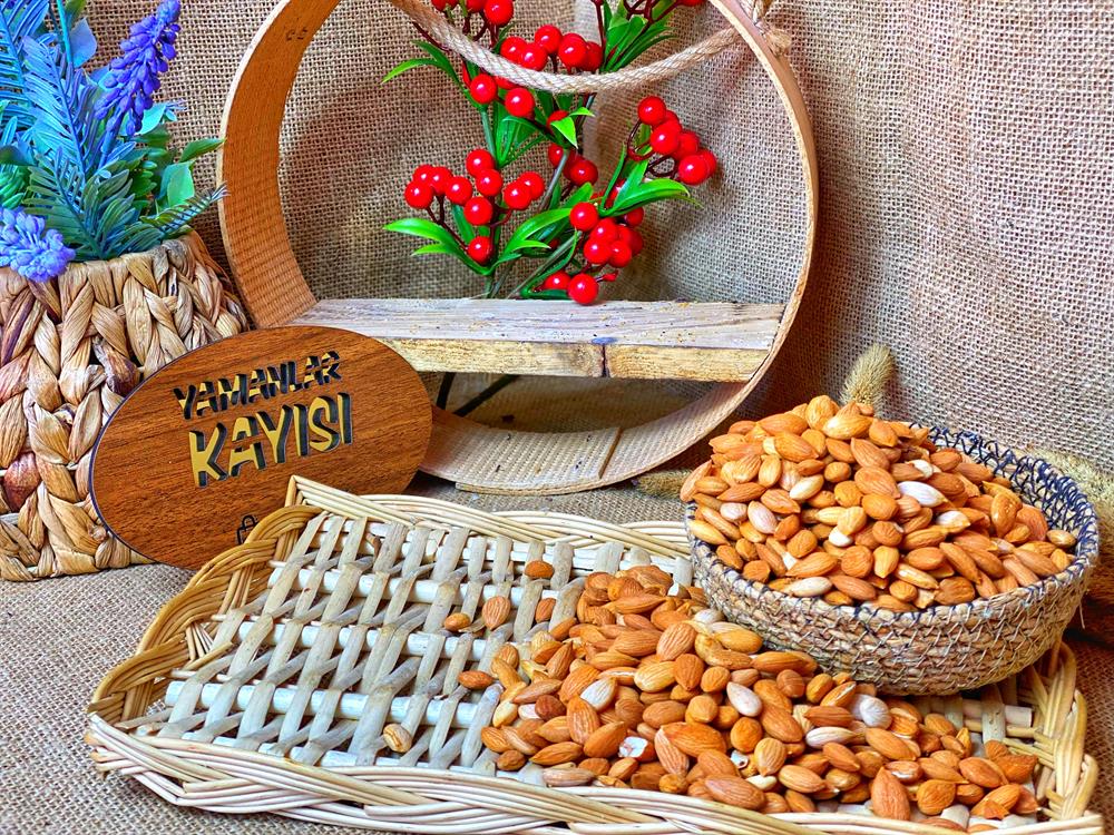 SARI KAYISI ÇEKİRDEĞİ