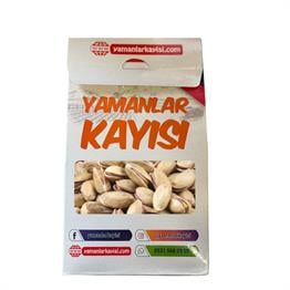 ANTEP FISTIĞI
