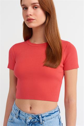 Bisiklet Yaka Kısa Kol Crop Kırmızı Kazak 10357-2Y4