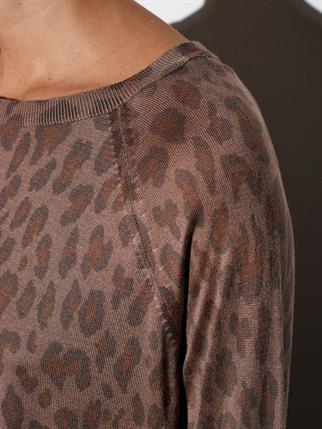 10666-2K6 DİLVİN KAZAKVİZON