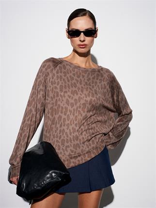 10666-2K6 DİLVİN KAZAKVİZON