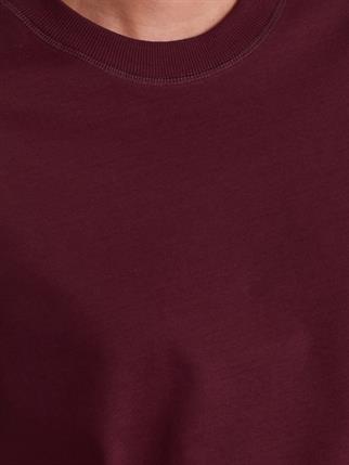 30312-2K6 DİLVİN TSHIRTBORDO