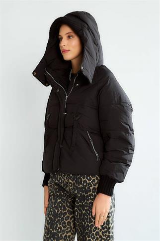 D99749-2K6 ROBİN MONT-SİYAH