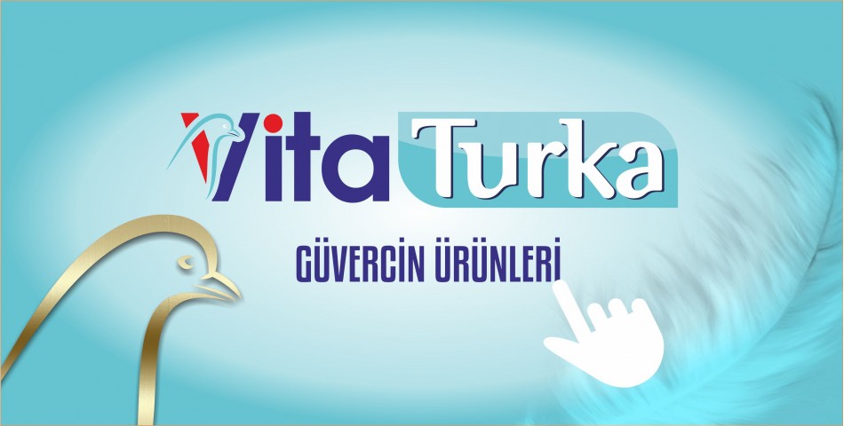 VİTA TURKA