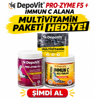 Depovit Pro-Zyme F5 + Depovit Immun C 2'li Destek Seti (Hediyeli)