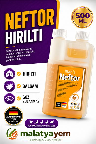 Neftor Hırıltı Ve Solunum Yolu Destek Ürünü 500 Ml