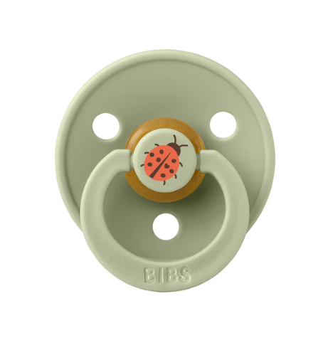 BBS-20025250Bibs Studio Colour Ladybug Emzik-Sage 6 Ay+