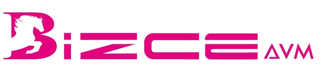 BizceAVM.com