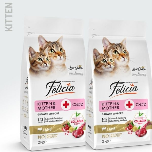 Felicia Kitten&Mother Kuzulu Yavru Kedi Maması 2Kg X 2Adet