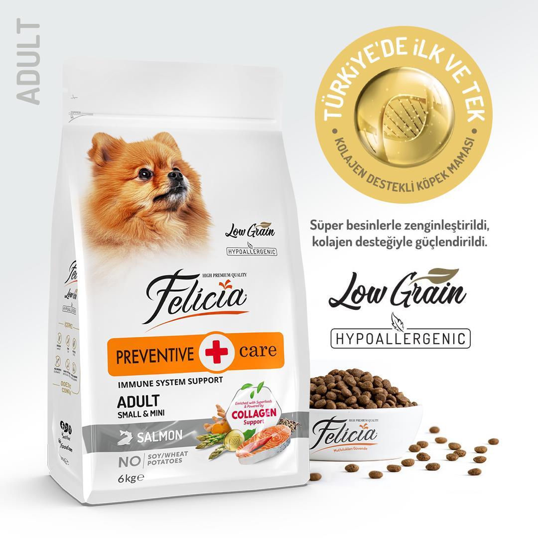 Felicia® Preventive Care Somonlu Küçük Irk Yetişkin Köpek Maması 6 Kg